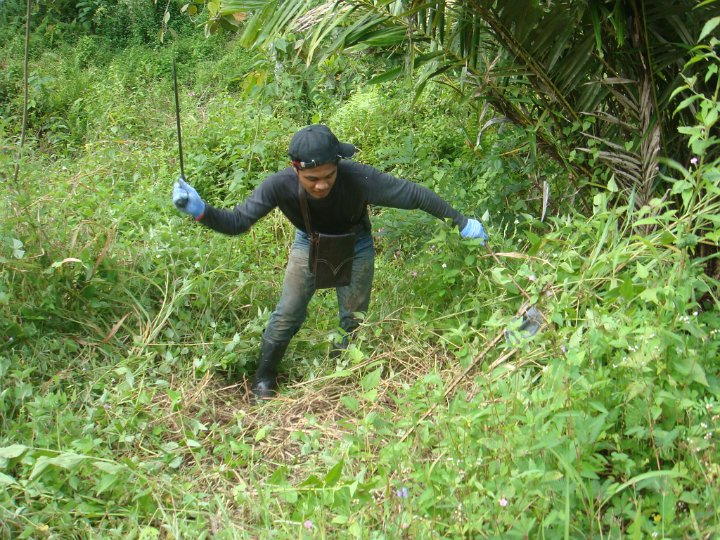 Maintenance of planted seedlings (5).JPG